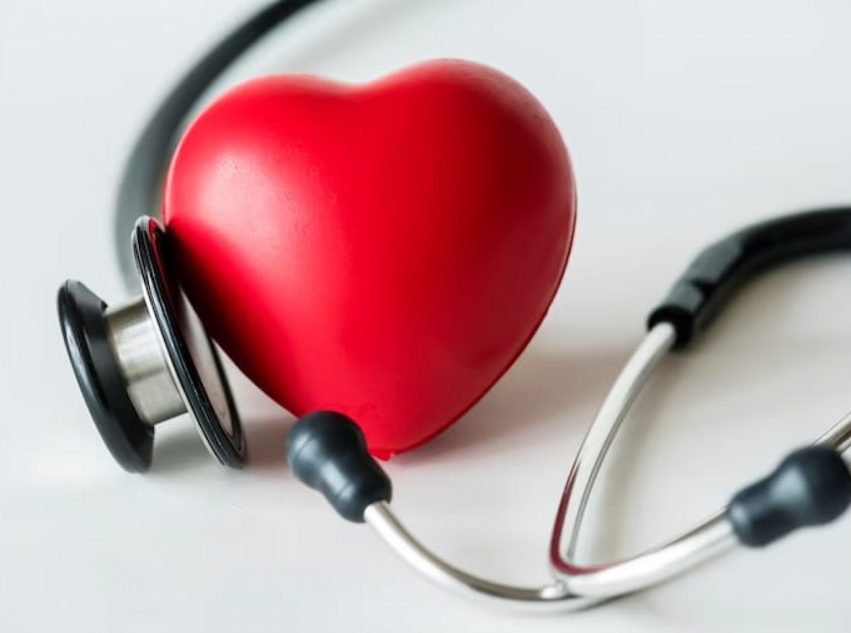  Фото с сайта https://ru.freepik.com/